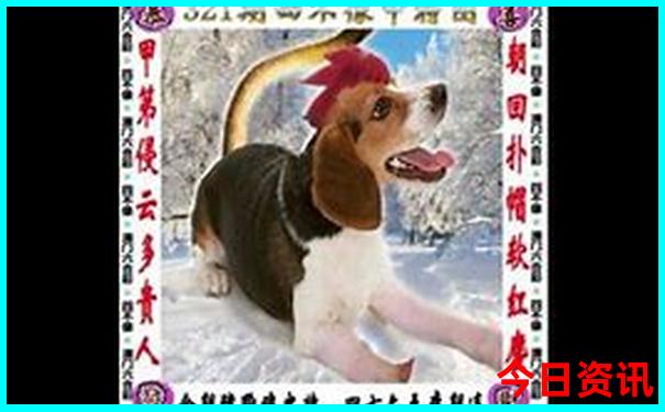 十月份去哪里旅游合适
